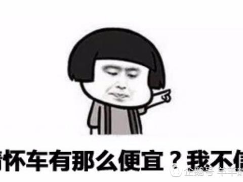 不输于SUV的几款家用车