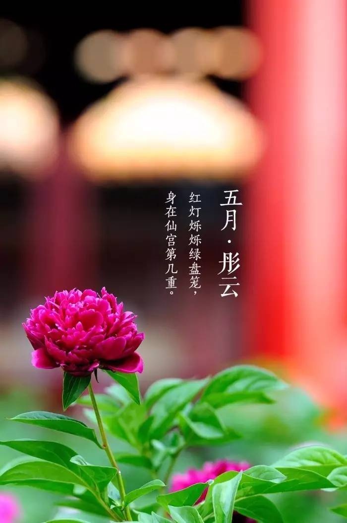 古训：成大事者，不拘小节