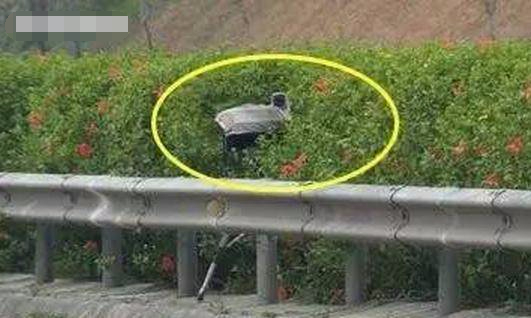 交警提醒:市区开车不认识这4种摄像头,错1个扣