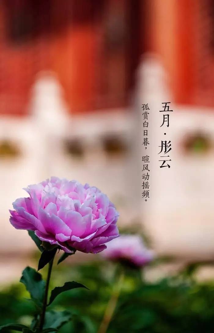 古训：成大事者，不拘小节