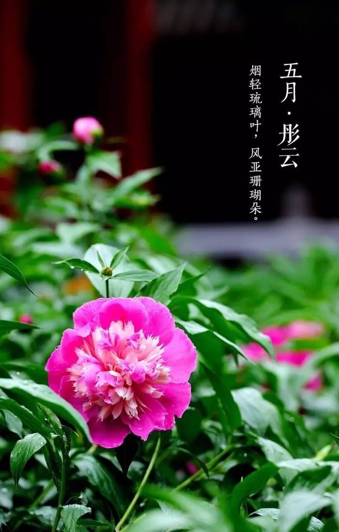 古训：成大事者，不拘小节