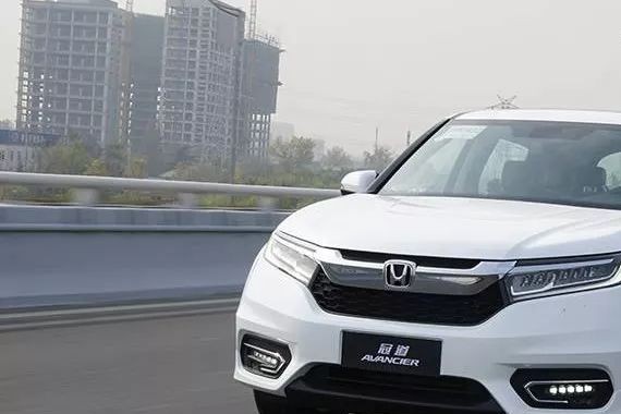 谁说小马不能拉大车，这匹小野马不但能拉大车，还能拉着大车狂奔