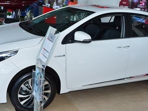 走遍千山万水，我家小卡最美