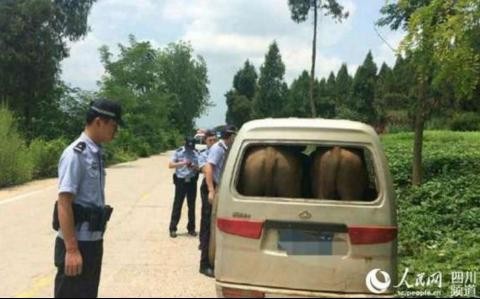 比五菱高端，比宝骏730实用，这款车到底有什么来头？