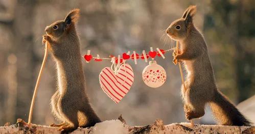 撩妹\/撩汉金句,套路是真的深!你学会了吗?