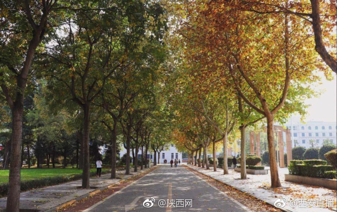 西安外事学院挂科后要交重修费 一学分120元