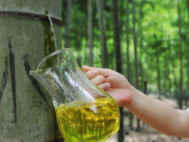 农村小伙在竹子上打孔种酒,收入百万!