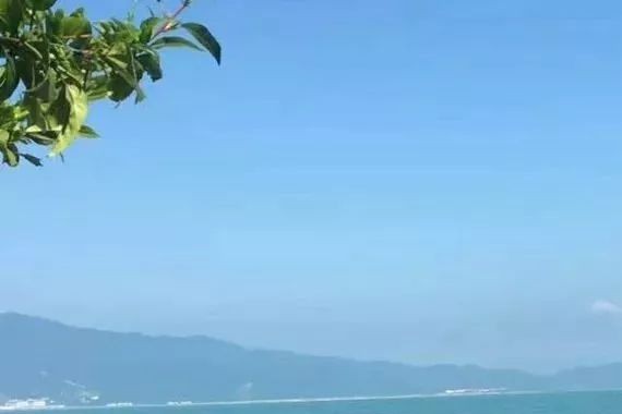 《车舞飞扬》全新绅宝D50 不愧是为有智青年量身打造！