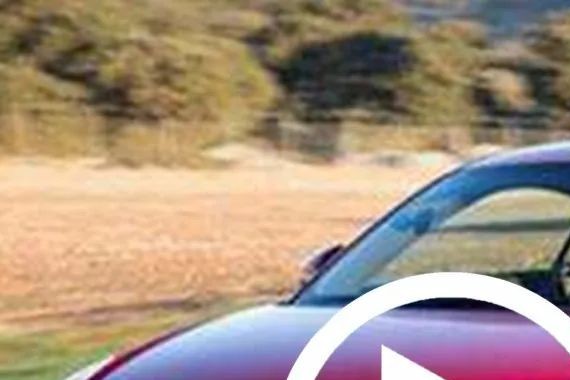 “小钢炮“又有文章更新啦，快来看看吧