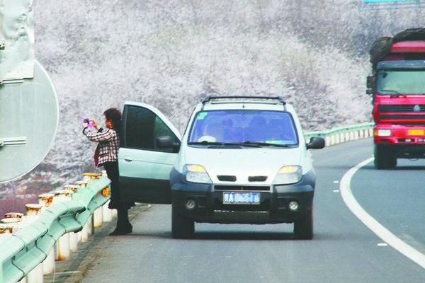 不论新司机老司机,跑高速牢记这7点,开车30万公里不出事故