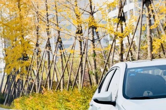 “爱豆”历险记（一）：开着我的新雷凌185T，说走就走