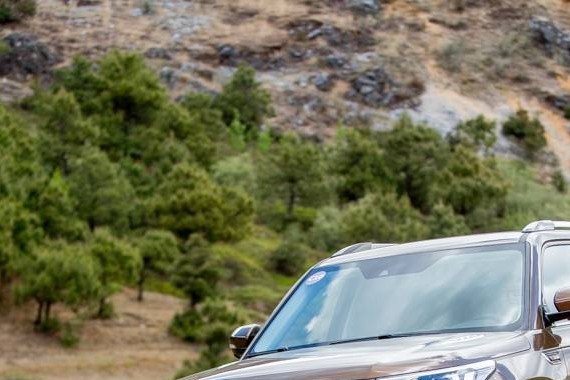 有了CS95荣耀版，今年的“双11”我弃赛！