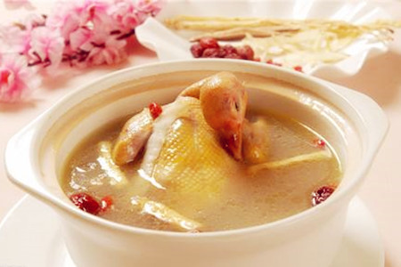 4.鸽子肉机甲大兔子蹦蹦跳图片
