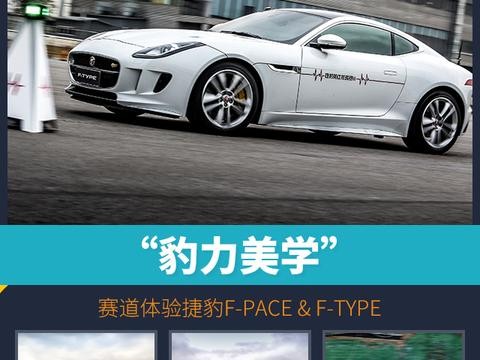 头条·试驾丨豹力美学！赛道体验捷豹F-PACE & F-TYPE