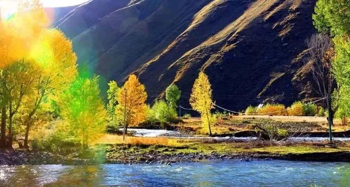 如果说走就走,你还能赶上新都桥的秋