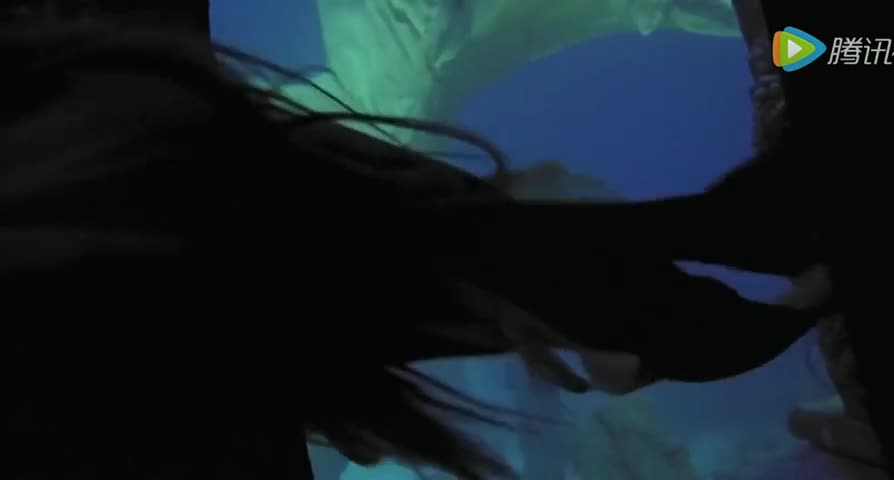 怎样变成美人鱼视频 7767-fynstfh5516395.jpg