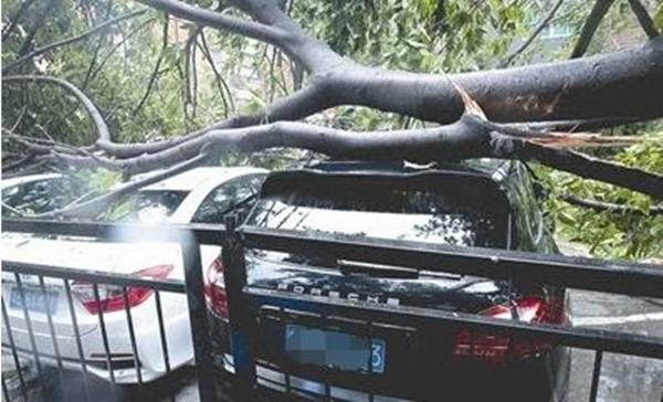 车险买以下四个险种就足够了!不要听保险业务