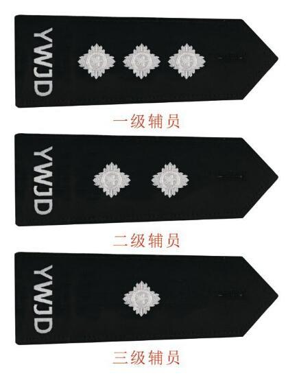 辅警最新肩章,被授衔还能涨工资,你知道吗?