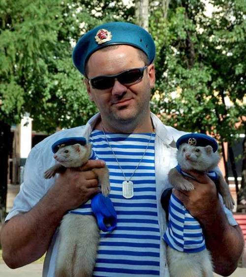 搞笑段子:亲子装,怎么样?