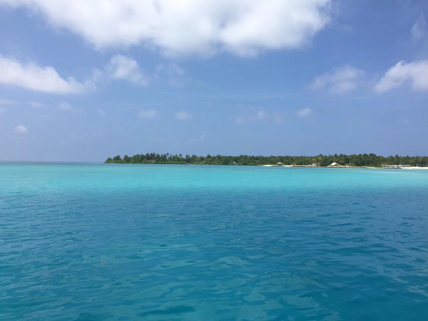 蔚蓝大海，不一样的马尔代夫|马尔代夫|大海_新浪网