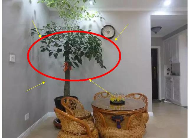 谁说一楼房子不好?装修得好比高层差