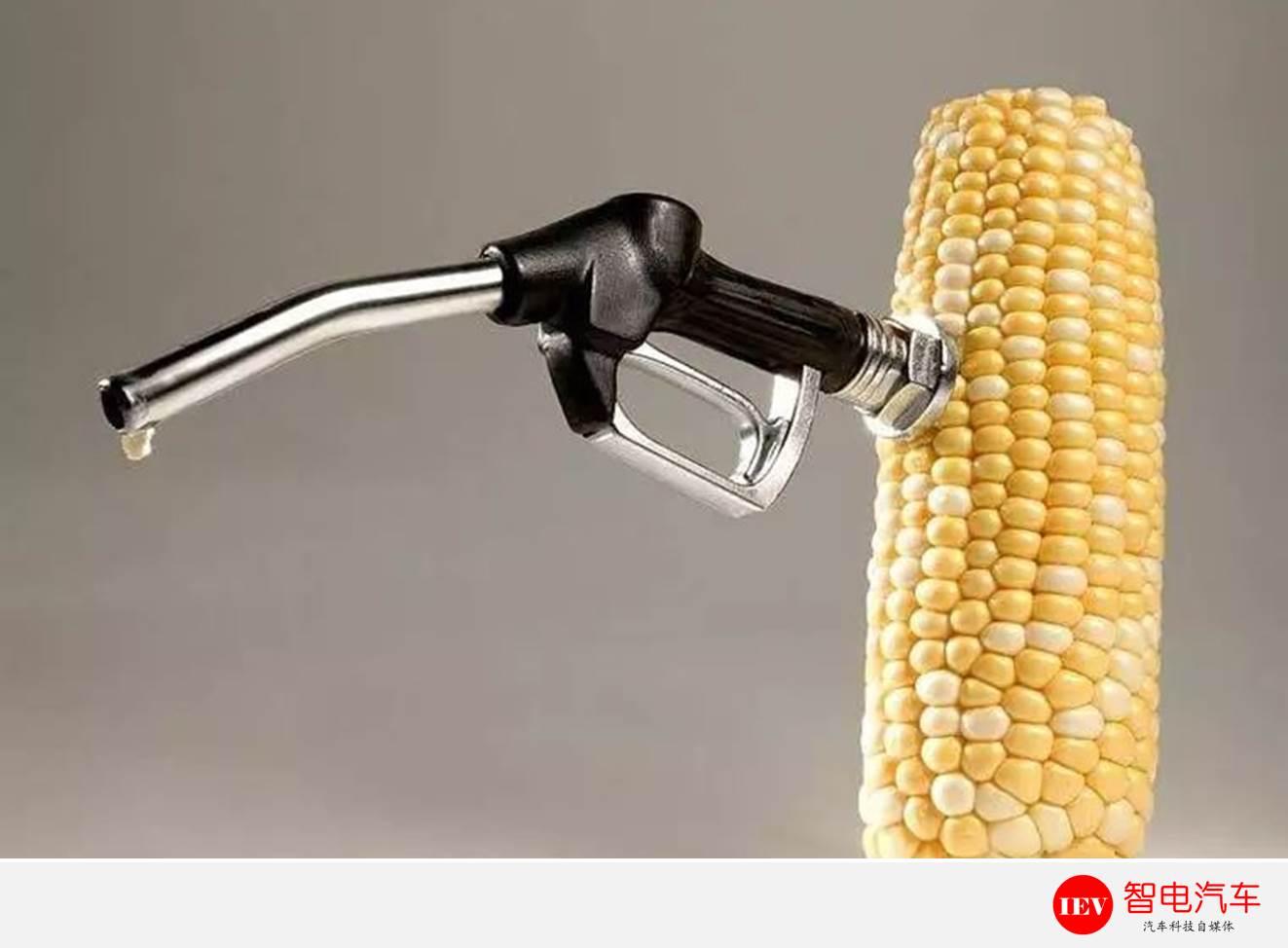 2020年普及乙醇汽油!如果价格不调,买电动车或