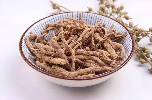 远志为中医常用中药,西医西药亦用其制剂,如远志酊.