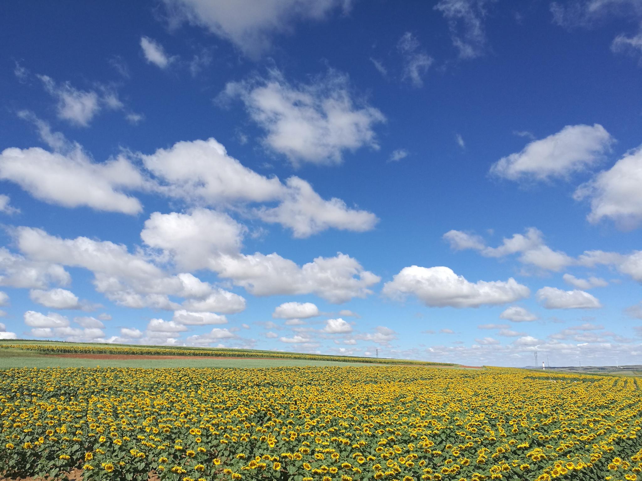 不容错过的新闻：劳动公园白天有拉活的情况盘点
