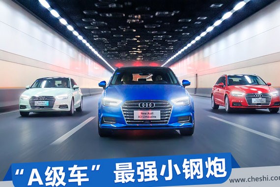 “小钢炮“又有文章更新啦，快来看看吧