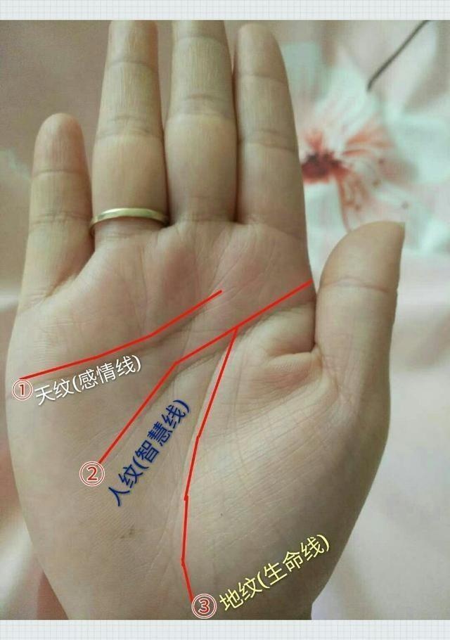 必定富贵的女性手相特点，福气十足钱财不断！