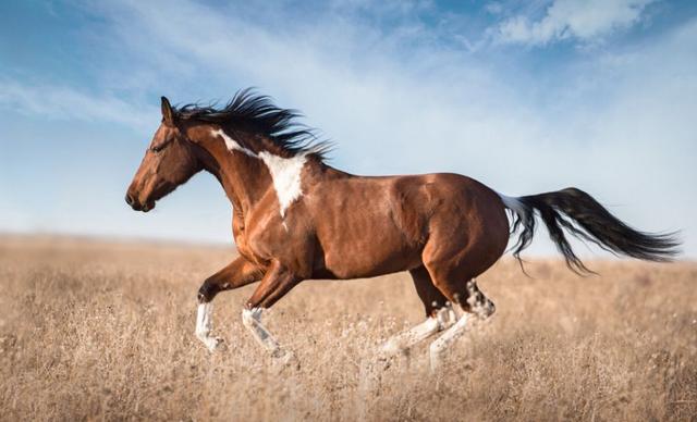 在农村有很多买了车却不舍得开的人,是什么心