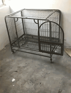 搞笑gif:大爷,你这个下手有点狠