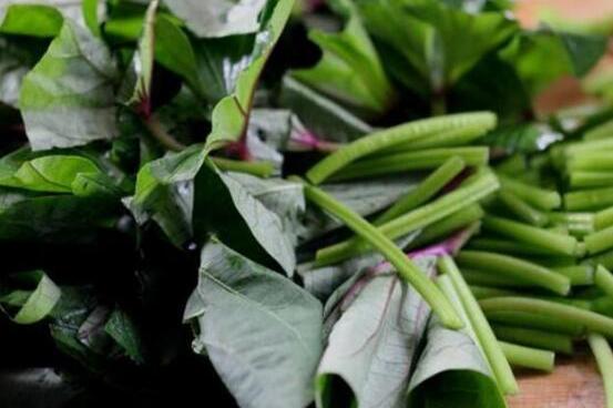 以前没人吃的红薯叶,现在有人却靠它一年赚几