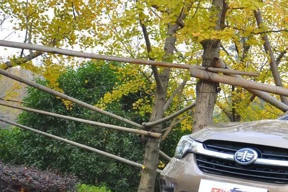 实力与颜值兼顾 试驾骏派D60