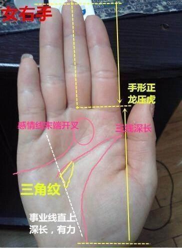 必定富贵的女性手相特点，福气十足钱财不断！