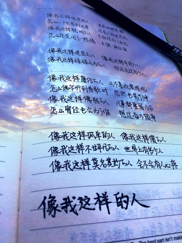 敬自己一杯简谱_一杯美酒敬爹娘简谱(3)