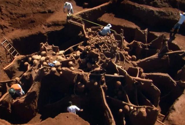 为研究巨型蚂蚁巢穴内部,人们用掉了十余吨水泥浆!