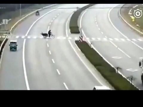 大货车拼死鸣笛，三轮车无脑的放弃了活下去的机会。