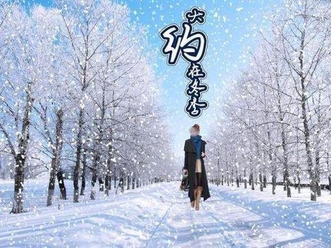 丰田考斯特15座16座17座豪华接待版指导价