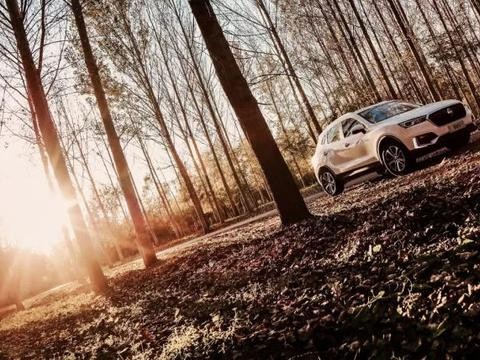 试驾宝沃BX5 1.4T版：驾驭性能提升明显，智能网联更具人性