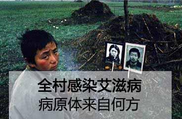 艾滋病村当年为何感染了整个村庄