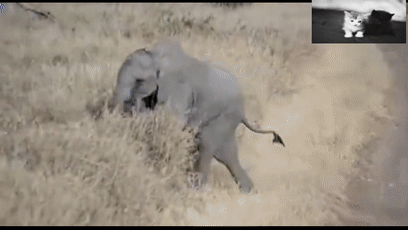 熊孩子撒泼打滚不起来怎么办,看看大象爸妈怎么做的