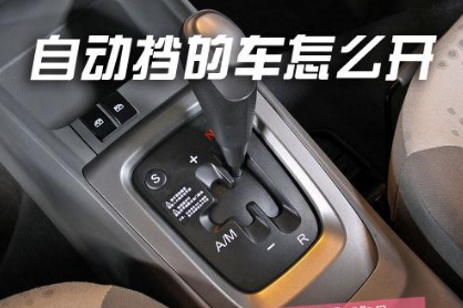 2978-fynwxum1163284.png