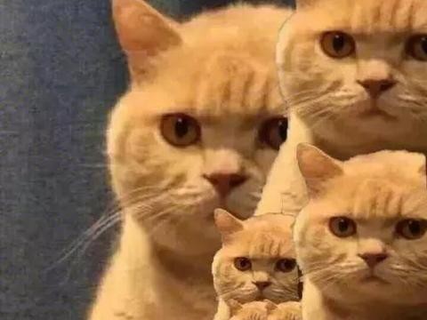 装逼必备，看尾灯就知道这是什么车