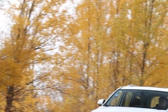 90后难以摆脱“油腻”的中年危机？拥有Ta的人就笑笑不说话