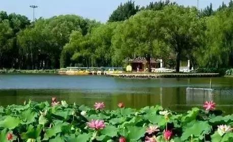 不花钱也能任性玩！全北京的免费公园在这儿了！
