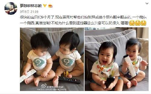 张雨绮喜获双子,网友质疑:为什么明星生孩子都是龙凤