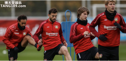 药厂后防线遭受考验 918博天堂分析勒沃库森V