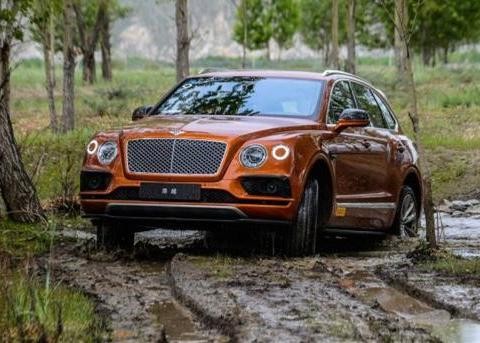 作为一辆养尊处优的豪车，添越能有这样的表现！