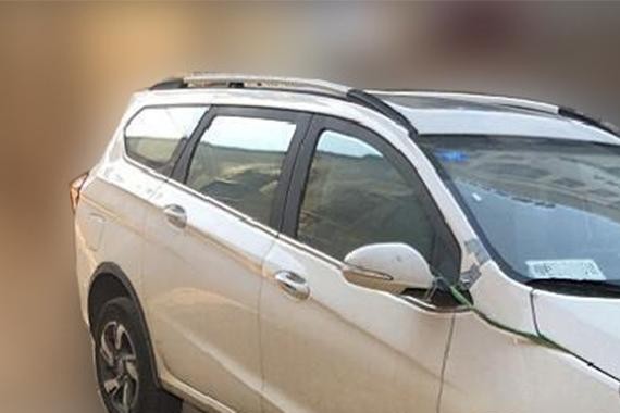 “谍照“又有文章更新啦，快来看看吧